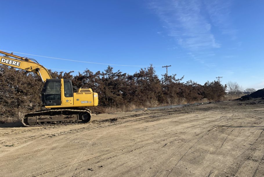 Tree Removal